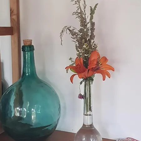 La Pallota De San Cristobal Guest house